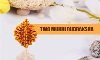 2 Mukhi Rudraksha: Benefits, Power and Significance